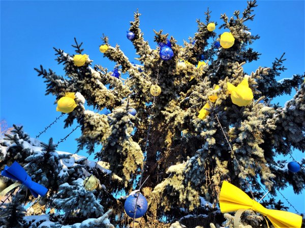 У національних кольорах: у Ковелі урочисто відкрили головну ялинку громади