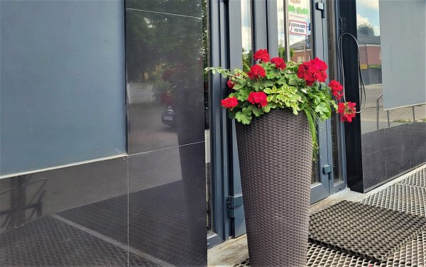 Вулиці Ковеля прикрашають квітами Вулиці Ковеля прикрашають квітами