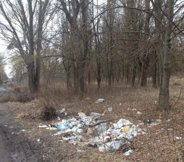 Небайдужі ковельчани під час ранкових пробіжок прибирають береги Турії від сміття Небайдужі ковельчани під час ранкових пробіжок прибирають береги Турії від сміття