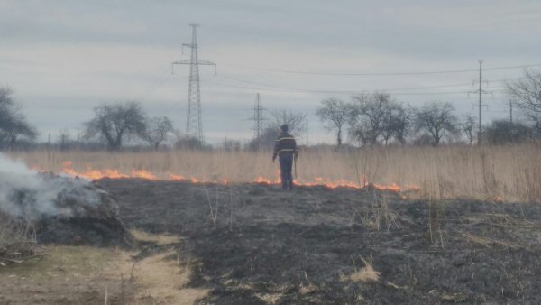 Ковельчанин за спалювання сухої трави заплатить штраф Ковельчанин за спалювання сухої трави заплатить штраф