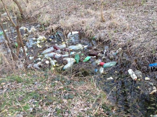 Небайдужі ковельчани під час ранкових пробіжок прибирають береги Турії від сміття Небайдужі ковельчани під час ранкових пробіжок прибирають береги Турії від сміття