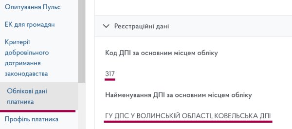 Декларація ФОП 3 група з додатком 1 по ЄСВ за 2025 рік