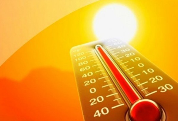 Спека повертається: синоптики розповіли про погоду у найближчі дні