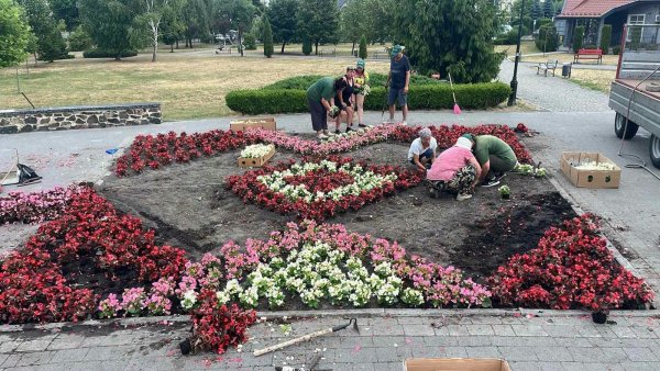 Ковельчан закликають дбайливо ставитися до міських квітників Ковельчан закликають дбайливо ставитися до міських квітників