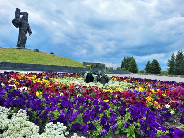 Вулиці Ковеля прикрашають квітами Вулиці Ковеля прикрашають квітами