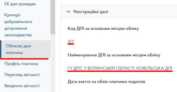 Декларація ФОП 3 група за І квартал 2025 року