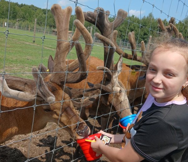 Діти загиблих та зниклих безвісти військовослужбовців нашої громади відвідали екопарк «Аміла». Діти загиблих та зниклих безвісти військовослужбовців нашої громади відвідали екопарк «Аміла».