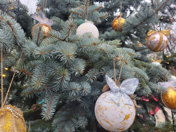 У Ковелі для дітей організували цікаві забави до Дня святого Миколая