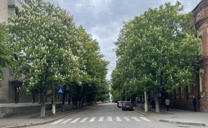 Як на фоні «лисого» Ковеля контрастує «зелений» Словʼянськ?