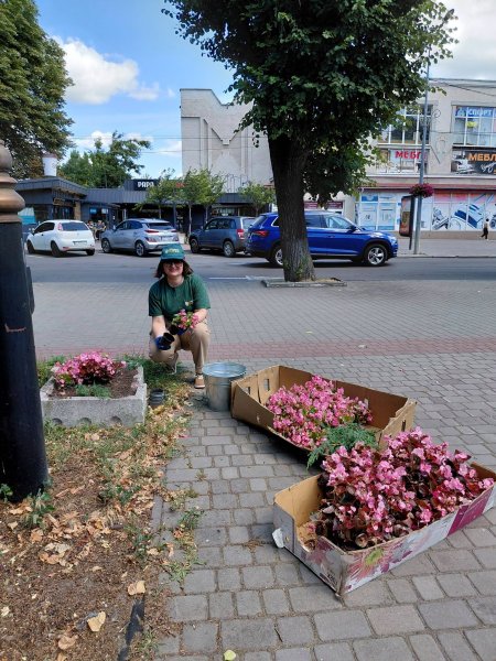 Ковельчан закликають дбайливо ставитися до міських квітників Ковельчан закликають дбайливо ставитися до міських квітників
