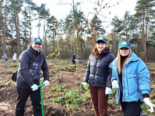 Майже 7 тисяч дерев висадили сьогодні працівники міської ради та СЛАТ «ТУР» Майже 7 тисяч дерев висадили сьогодні працівники міської ради та СЛАТ «ТУР»