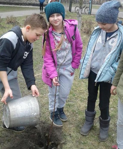 У Ковелі учні, вчителі та батьки садили фруктові дерева у шкільному саду ФОТО У Ковелі учні, вчителі та батьки садили фруктові дерева у шкільному саду ФОТО