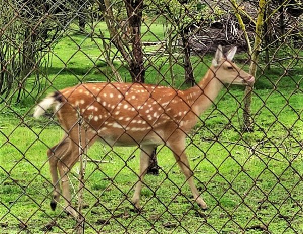 Ковельські велолюбителі протестували туристичний маршрут