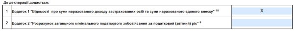 Декларація ФОП 3 група з додатком 1 по ЄСВ за 2024 рік