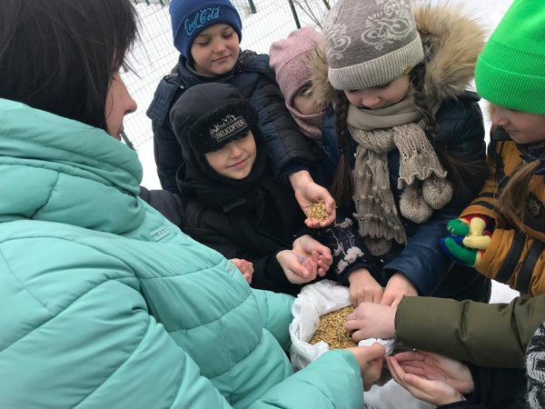 1 квітня - Міжнародний день птахів 1 квітня - Міжнародний день птахів