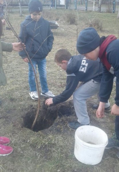 У Ковелі учні, вчителі та батьки садили фруктові дерева у шкільному саду ФОТО У Ковелі учні, вчителі та батьки садили фруктові дерева у шкільному саду ФОТО