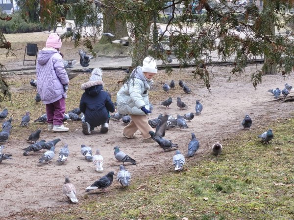 Екологічна освіта – частина проєкту, який Ковель реалізовує з польським містом-партнером Ленчною