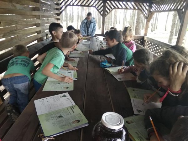 Ковельських дітей та підлітків запрошують у літній табір «Мрія» Ковельських дітей та підлітків запрошують у літній табір «Мрія»