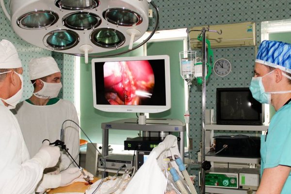 У Ковелі лікарі провели складну оперцію з видалення нирки, ураженої злоякісною пухлиною У Ковелі лікарі провели складну оперцію з видалення нирки, ураженої злоякісною пухлиною