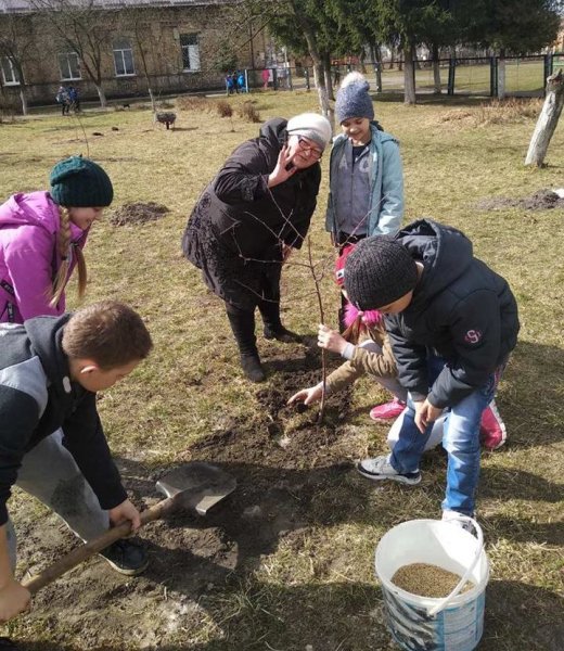У Ковелі учні, вчителі та батьки садили фруктові дерева у шкільному саду ФОТО У Ковелі учні, вчителі та батьки садили фруктові дерева у шкільному саду ФОТО