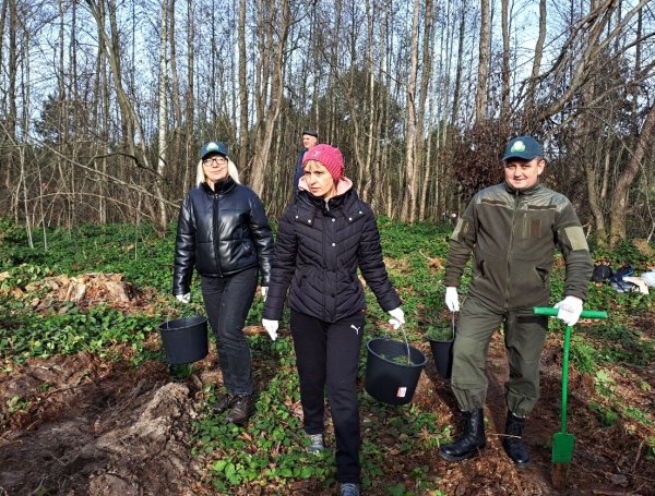 Майже 7 тисяч дерев висадили сьогодні працівники міської ради та СЛАТ «ТУР» Майже 7 тисяч дерев висадили сьогодні працівники міської ради та СЛАТ «ТУР»