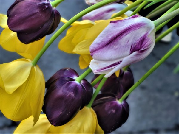 Сергієві Кашубі назавжди 46. Ковельчани віддали останню шану Героєві