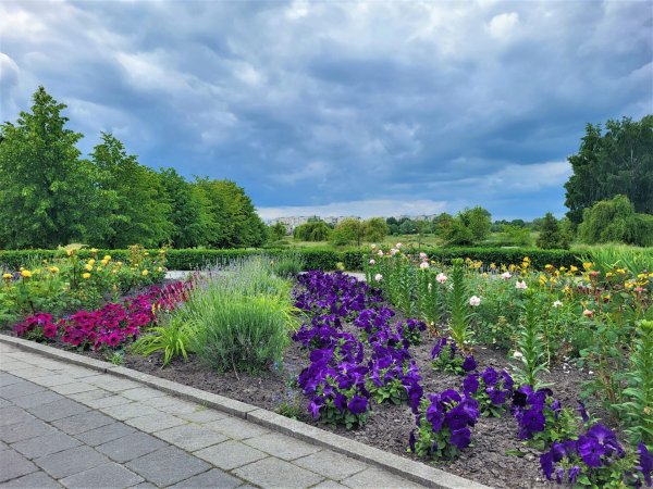 Вулиці Ковеля прикрашають квітами Вулиці Ковеля прикрашають квітами