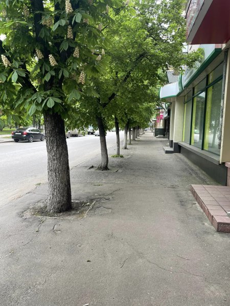 Як на фоні «лисого» Ковеля контрастує «зелений» Словʼянськ?