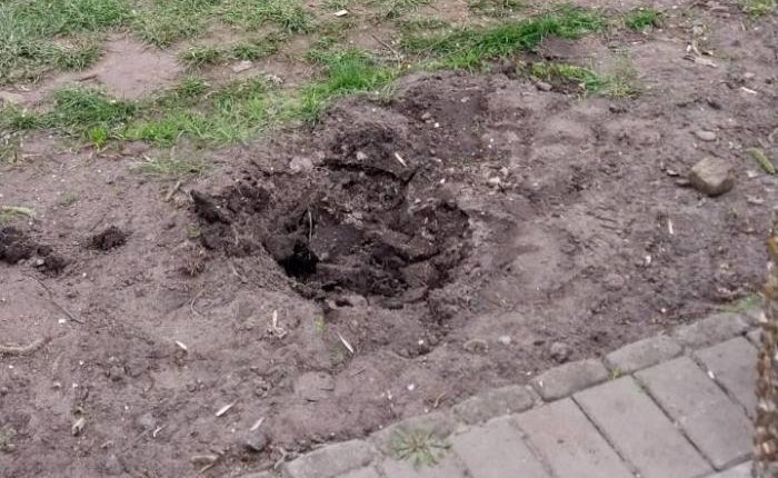 Вкрали туї на набережній: цинізм, що не має меж